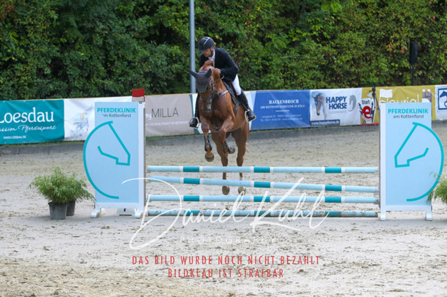 DKP40058 | Turniersportfotografie; Pferdefotografie; Dressurfotografie