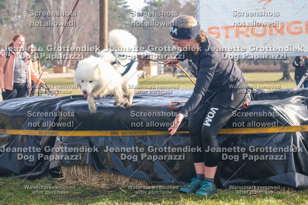 Dog Paparazzi - Strongdog North Mrz26-147 | Dog Paparazzi Jeanette Grottendiek Fotografie & Videografie - Realisiert mit Pictrs.com
