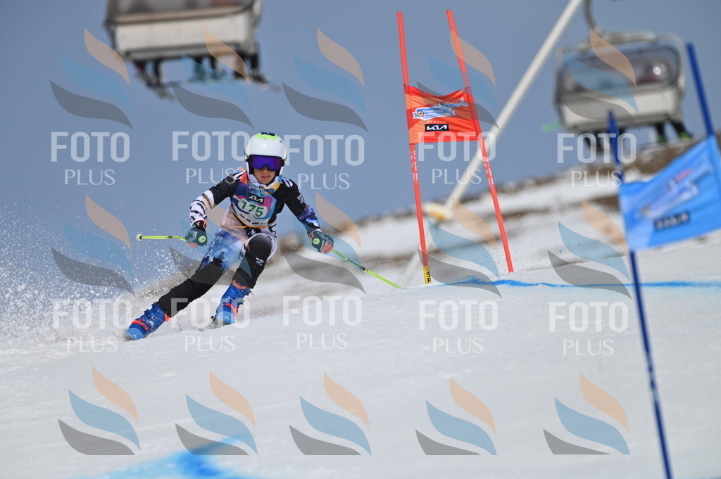 BGV_3444 | holidayphoto