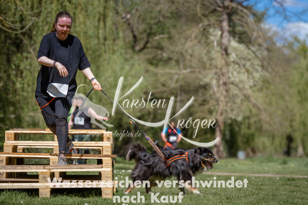 1245_ZZ94278 | kk-dogfotos