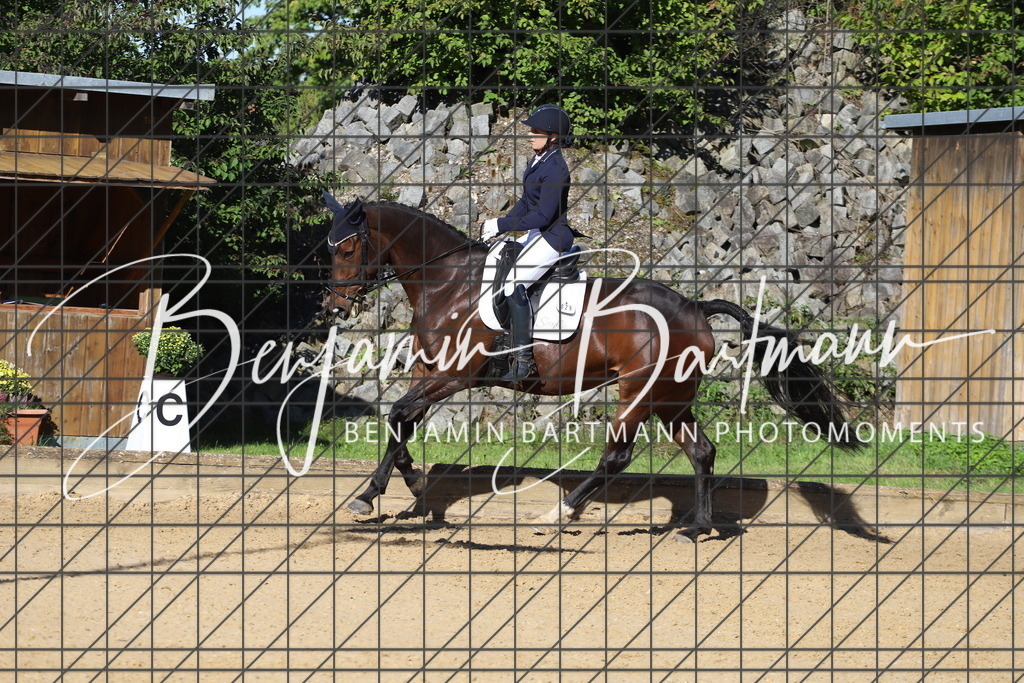 IMG_5052 | Benjamin Bartmann Photomoments