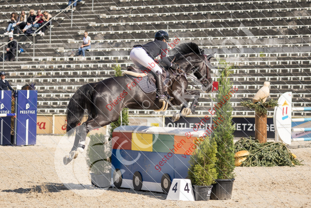 IMG_4001 | Sport-, Event- und Tierfotos in Profiqualität. Einfach auswählen, bestellen und herunterladen. Dein Moment – perfekt festgehalten.