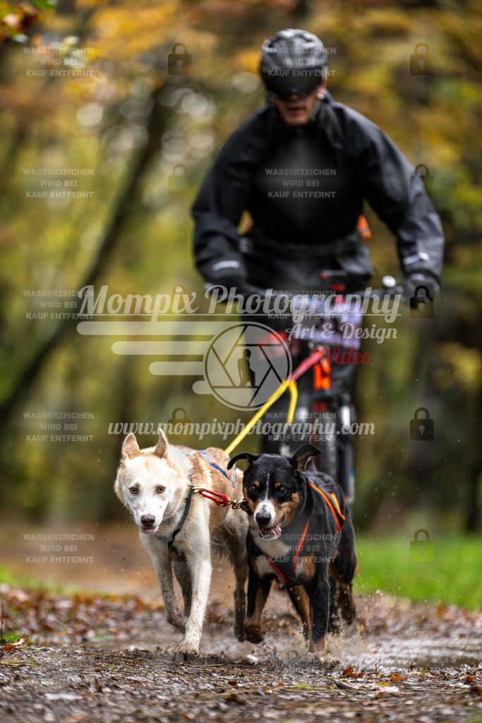 MompixPhotography_Bischwiller23_DS2-36 | mompixphotography