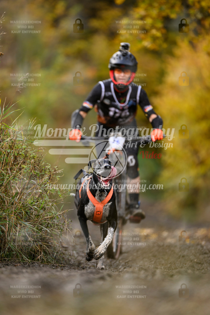 MompixPhotography_ICF_WC_2024_SA_Bike_-248 | PayLife