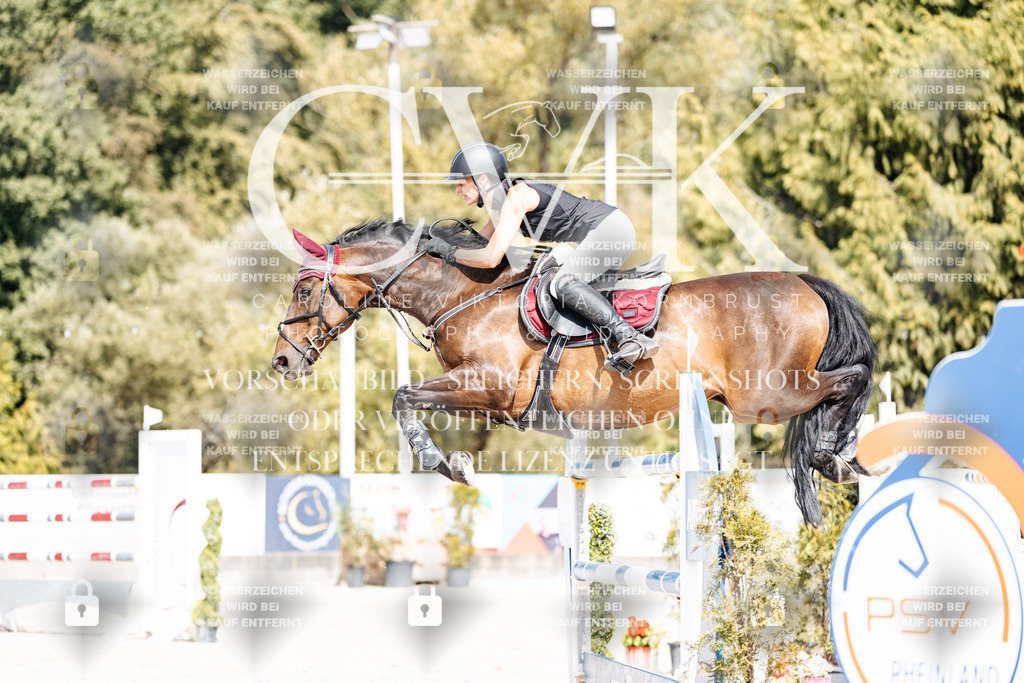 CK905312 | Turnierfotografie Pferdefotografie Trier Rheinland-Pfalz Pferdesport Reitsport Tierfotografie Sportfotografie Pferdevideo Pferdevideografie Equestrianvideography equestrianphotography  - Realisiert mit Pictrs.com