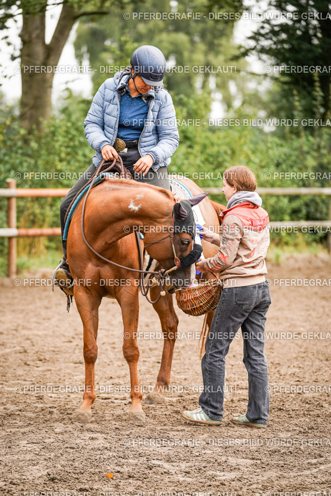 DSC04584 | Pferdegrafie