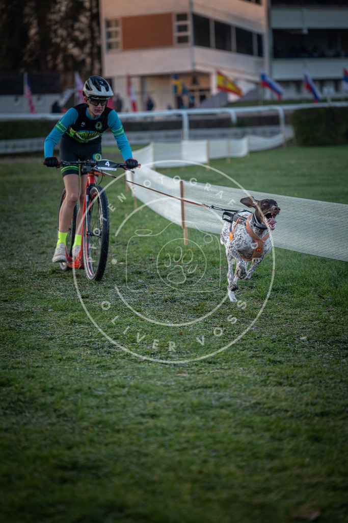 CaniXpix_0L8A0917 | Hundefotografie, Tierfotograf, Pfotenfotografie, Fotoshooting Hund, Hunde Portrait, Hundesport, Hundeportraits, Heideshooting, Hunde, Sportfotograf, Hundefotograf, Turnierhundsport, THS,  - Realisiert mit Pictrs.com