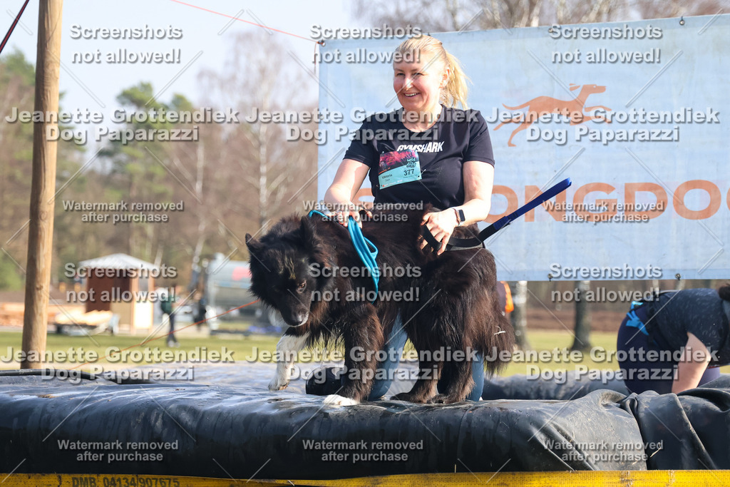 Dog Paparazzi - Strongdog North Mrz26-1617 | Dog Paparazzi Jeanette Grottendiek Fotografie & Videografie - Realisiert mit Pictrs.com
