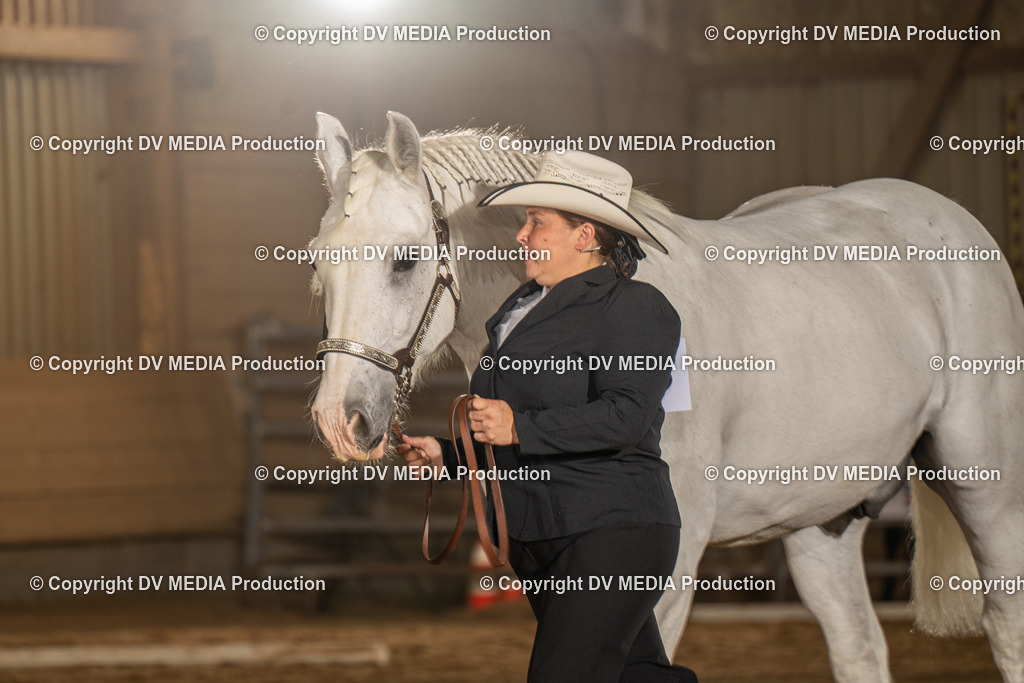 NID02412 | dv-media-shop - Realisiert mit Pictrs.com