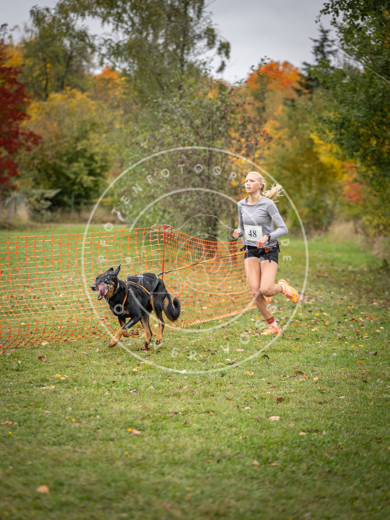 Pfotenfotografie_DV3A2428 | Hundefotografie, Tierfotograf, Pfotenfotografie, Fotoshooting Hund, Hunde Portrait, Hundesport, Hundeportraits, Heideshooting, Hunde, Sportfotograf, Hundefotograf, Turnierhundsport, THS,  - Realisiert mit Pictrs.com