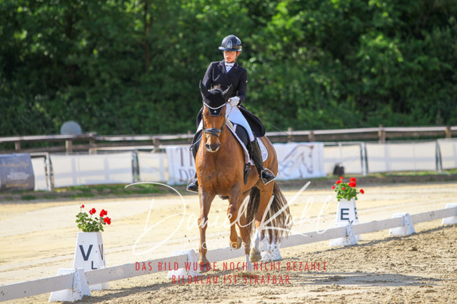 DKP46570 | Turniersportfotografie; Pferdefotografie; Dressurfotografie