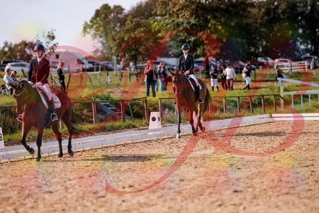 2026_10_03_Siefer-Hof_130858_Z81_62488389 | Professionelle Reitsport-, Turnier- und Eventfotografie von Robert Broda. Galerien mit ausgewählten und bearbeiteten Bildern direkt online ansehen und bestellen.