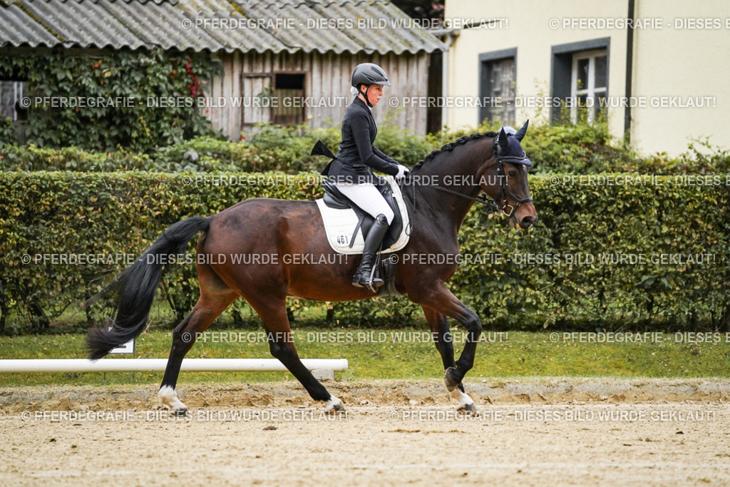 DSC06377 | Pferdegrafie