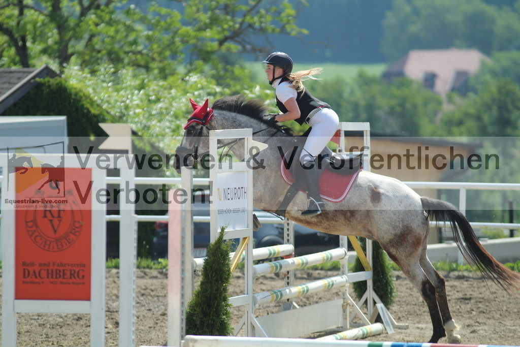 IMG_3433 | equestrian-live-com