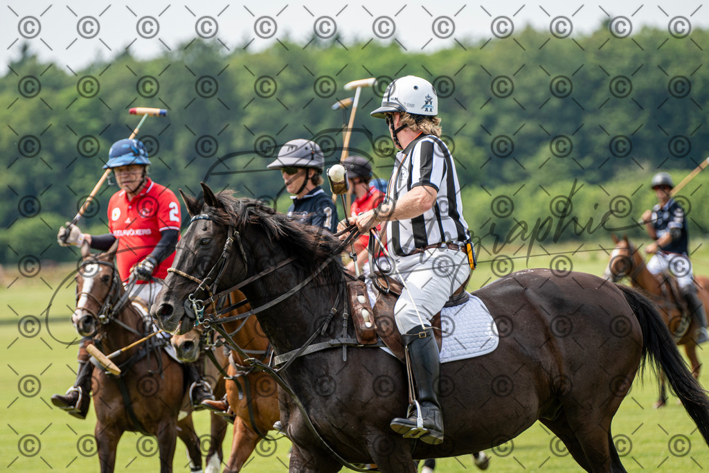 POL_3503 | andre_photographic