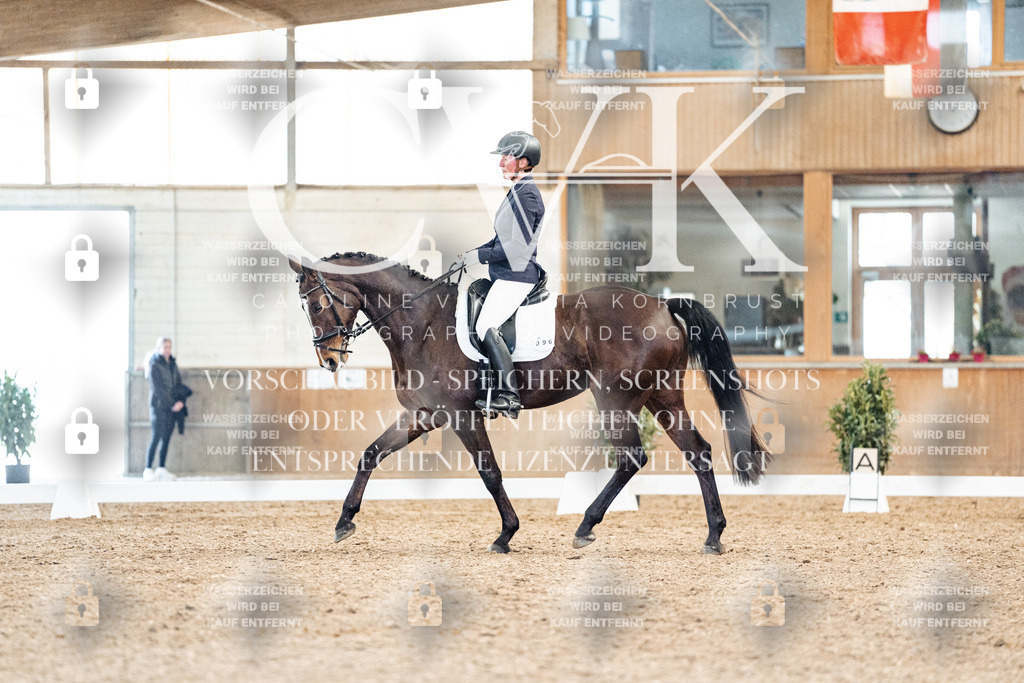 CK909151 | Turnierfotografie Pferdefotografie Trier Rheinland-Pfalz Pferdesport Reitsport Tierfotografie Sportfotografie Pferdevideo Pferdevideografie Equestrianvideography equestrianphotography  - Realisiert mit Pictrs.com