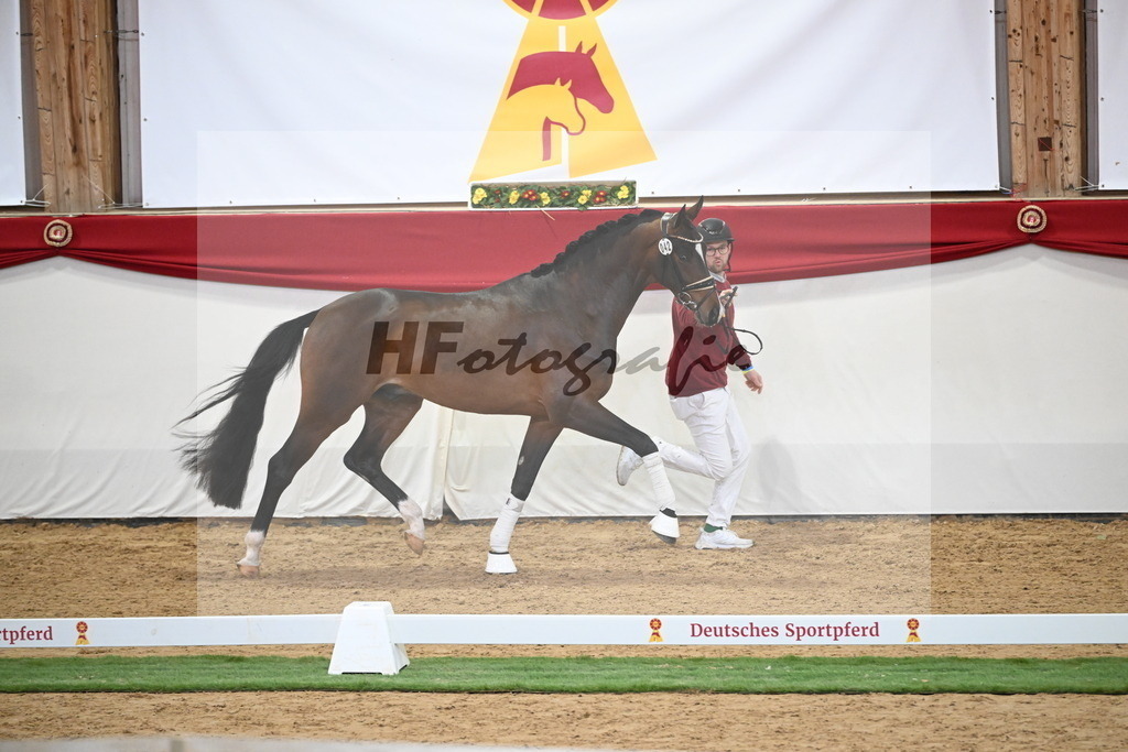Kat.-Nr. 42 v. Benicio_De Vittorio_2250032 | hf-fotografie - Realisiert mit Pictrs.com
