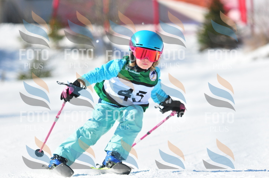 C2782 | holidayphoto