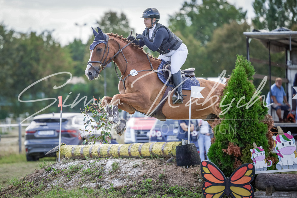 20250906-_3LI6994 | Tierfotografie Pferde, Hunde, Katzen, Haustiere.
Turnierfotografie Reitturniere, Reiten, Springreiten, Dressur in Hanau, dem Main-Kinzig-Kreis und dem Rhein-Main- Gebiet um Frankfurt