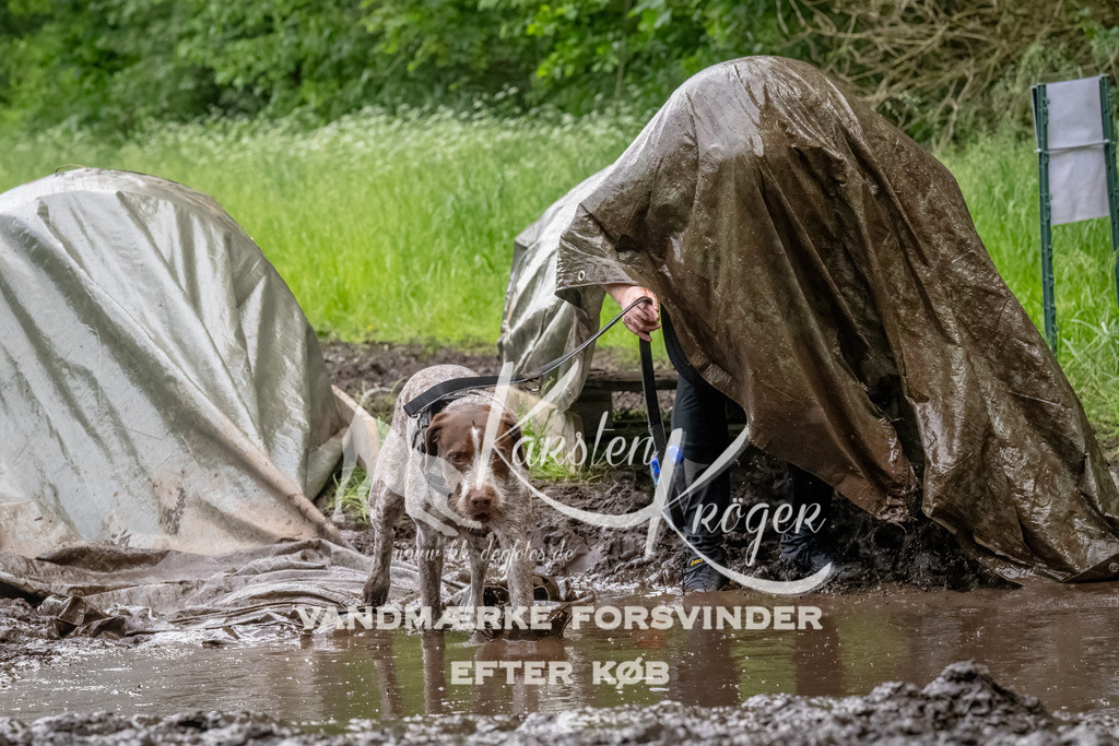 1520_ZZ92835-Bearbeitet | kk-dogfotos