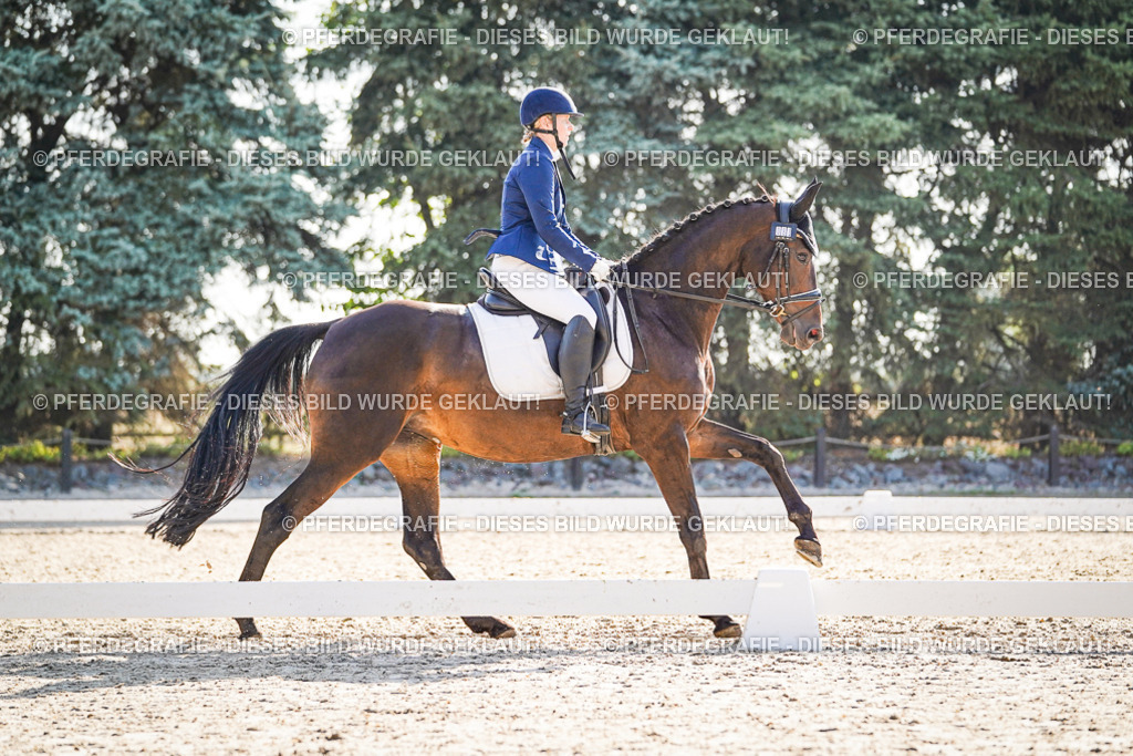 DSC09233 | Pferdegrafie