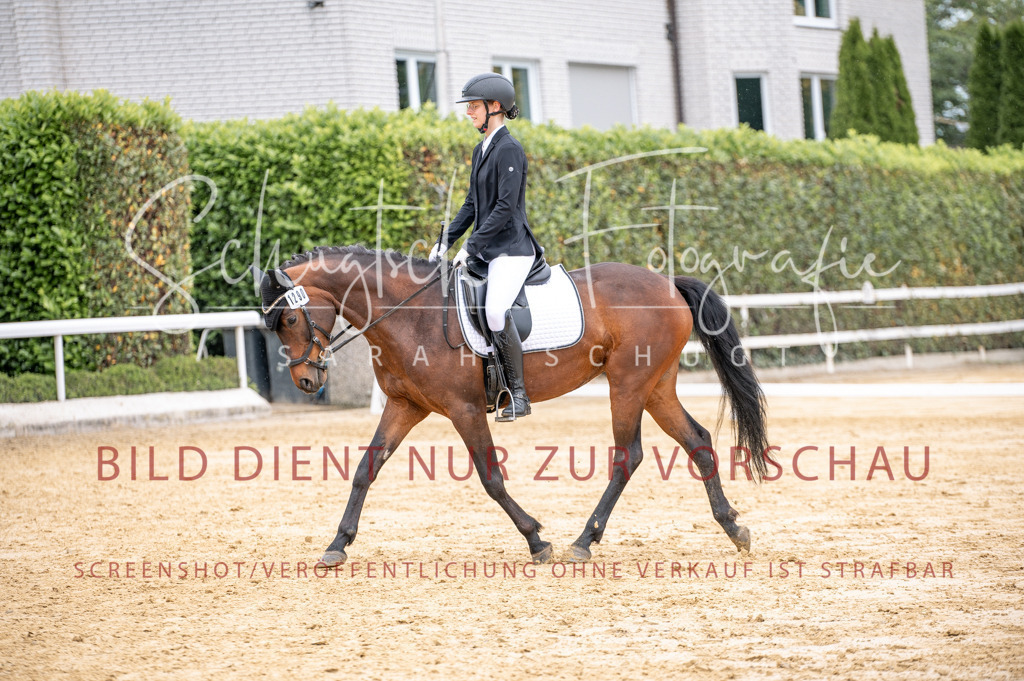 Schugtsche-Aluta25-41.Amat-Dressurprf.A_-258 | Schugtsche Fotografie - Realisiert mit Pictrs.com