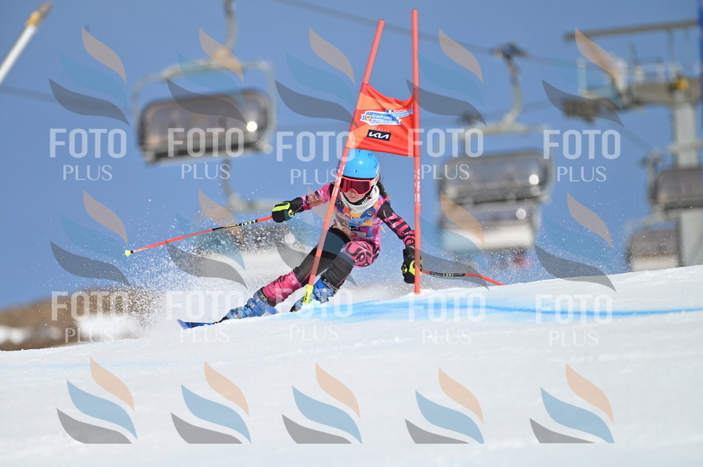 BGV_8858 | holidayphoto