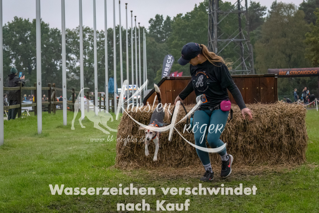 1229--14 | kk-dogfotos