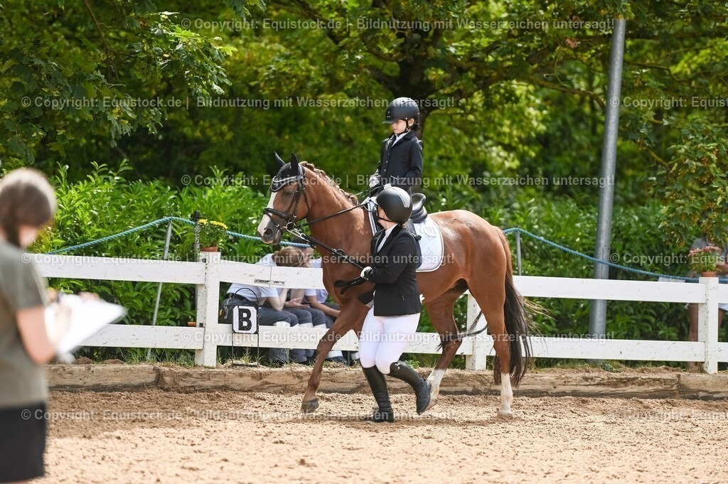 20230716_11_Führzügel-WB_0187 | equistock