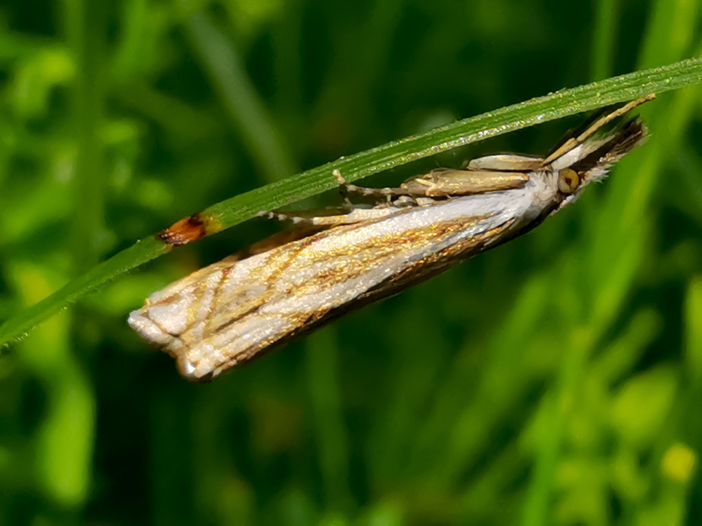 PSX_20230602_231138 | mtkfoto_ - Realisiert mit Pictrs.com