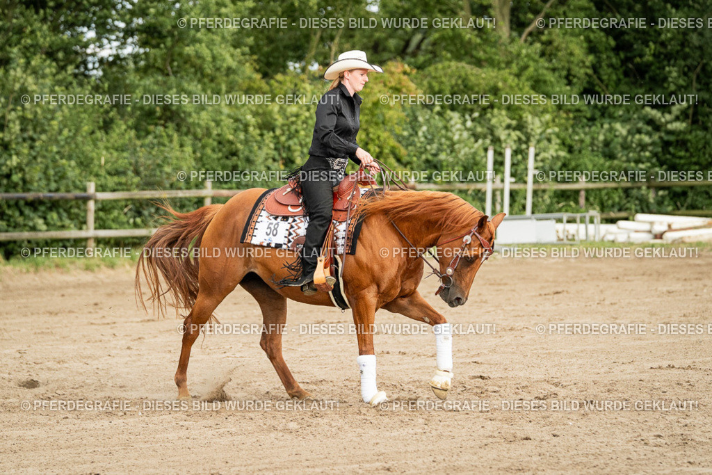 DSC05208 | Pferdegrafie