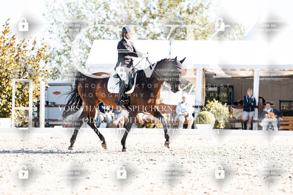 CK908704 | Turnierfotografie Pferdefotografie Trier Rheinland-Pfalz Pferdesport Reitsport Tierfotografie Sportfotografie Pferdevideo Pferdevideografie Equestrianvideography equestrianphotography  - Realisiert mit Pictrs.com