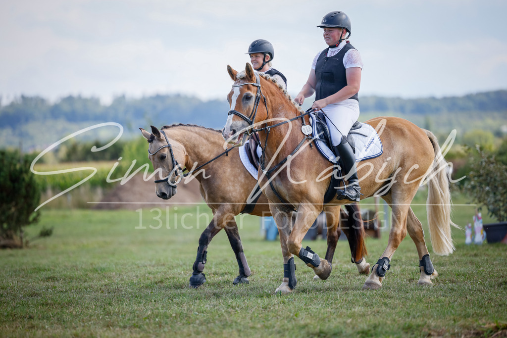 20250905-_3LI0226 | Tierfotografie Pferde, Hunde, Katzen, Haustiere.
Turnierfotografie Reitturniere, Reiten, Springreiten, Dressur in Hanau, dem Main-Kinzig-Kreis und dem Rhein-Main- Gebiet um Frankfurt