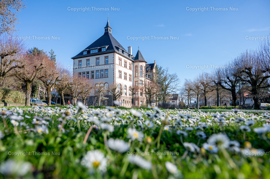 DSC_2255 | Bensheim, das Rathaus mit Frühlingsblumen im Vordergrund, Wikipedia:Der Gebäudekomplex des ehemaligen Bischöflichen Konvikts befindet sich nördlich vom Stadtzentrum an der Kreuzung Kirchbergstraße und Wilhelmstraße. Der Massivbau wurde 1899/1900 errichtet. Die Pläne dazu kamen von dem Mainzer Dombaumeister Ludwig Becker. Zuvor befand sich das Konvikt in der Darmstädter Straße 56.[3]

Erst zehn Jahre nach der Fertigstellung wurde das Gebäude verputzt und die Innenräume ausgeschmückt. Die Ursache für die späte Fertigstellung waren die hohen Baukosten. Auf Druck des Nationalsozialisten wurde das Konvikt 1939 geschlossen und zum Lazarett umfunktioniert. Nach Ende des Zweiten Weltkriegs wurde es bis 1949 als Unterkunft für Displaced Persons genutzt. Anschließend wurde das Schülerheim St. Bonifatius im ehemaligen Bischöflichen Konvikt untergebracht. Es wurde 1981 aus Kostengründen vom Ordinariat geschlossen. Die Stadt Bensheim erwarb den Gebäudekomplex und führte umfangreiche Umbauten im Inneren durch, damit der größte Teil der Verwaltung der Stadt aus dem Rodensteiner Hof in das neue Rathaus ziehen konnte. Die ehemalige Kapelle wird jetzt als Sitzungssaal genutzt.[3],, Bild: Thomas Neu