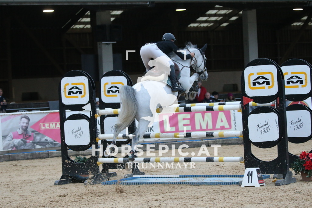 DL2Q6676 | Willkommen bei Brunnmayr - Design & Fotografie – Ihrem Spezialisten für Reitturniere und Pferdeveranstaltungen in Oberösterreich, Salzburg und Bayern! Seit über 17 Jahren sind wir leidenschaftlich dabei.