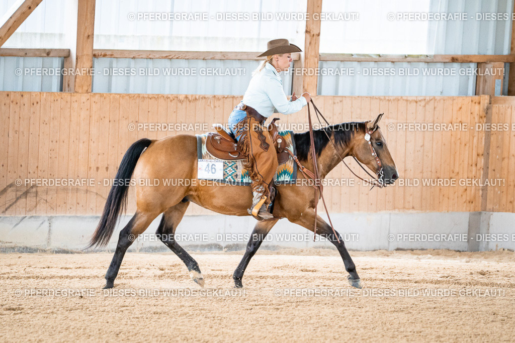 DSC07923 | Pferdegrafie