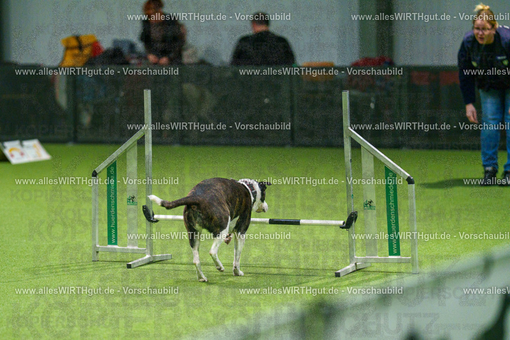 7R504710 | Professionelle Tierfotografie in Mönchengladbach von Daniel Wirth (allesWIRTHgut). Liebevolle & natürliche Bilder von Hunden & Katzen für unvergessliche Erinnerungen.