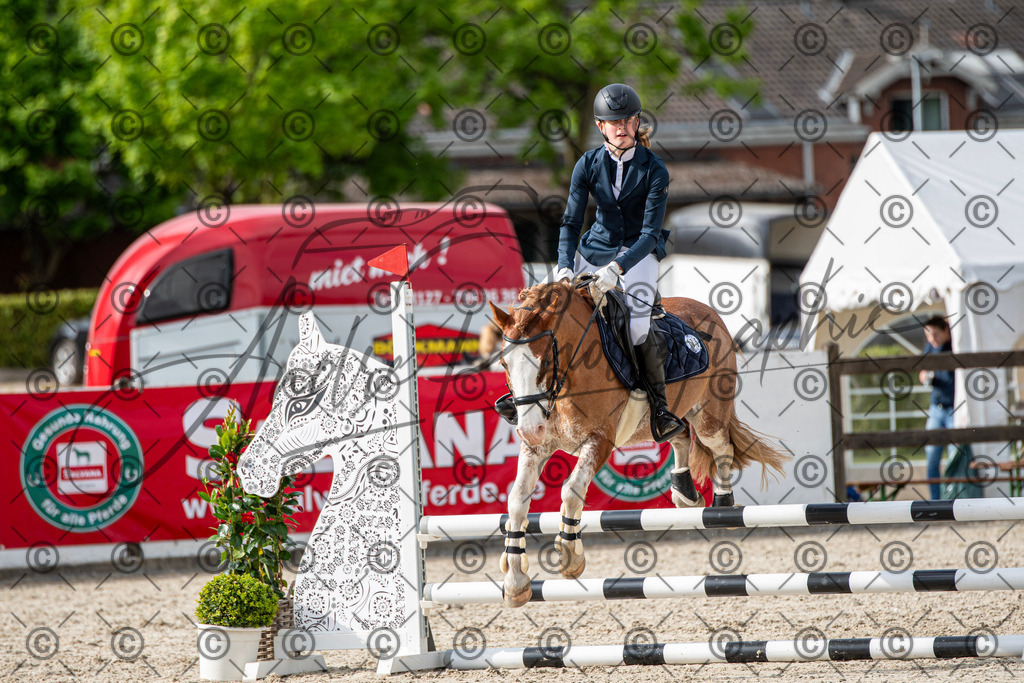 KPT_6755 | andre_photographic