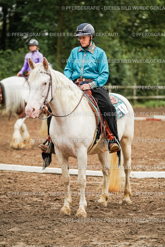 DSC03927 | Pferdegrafie