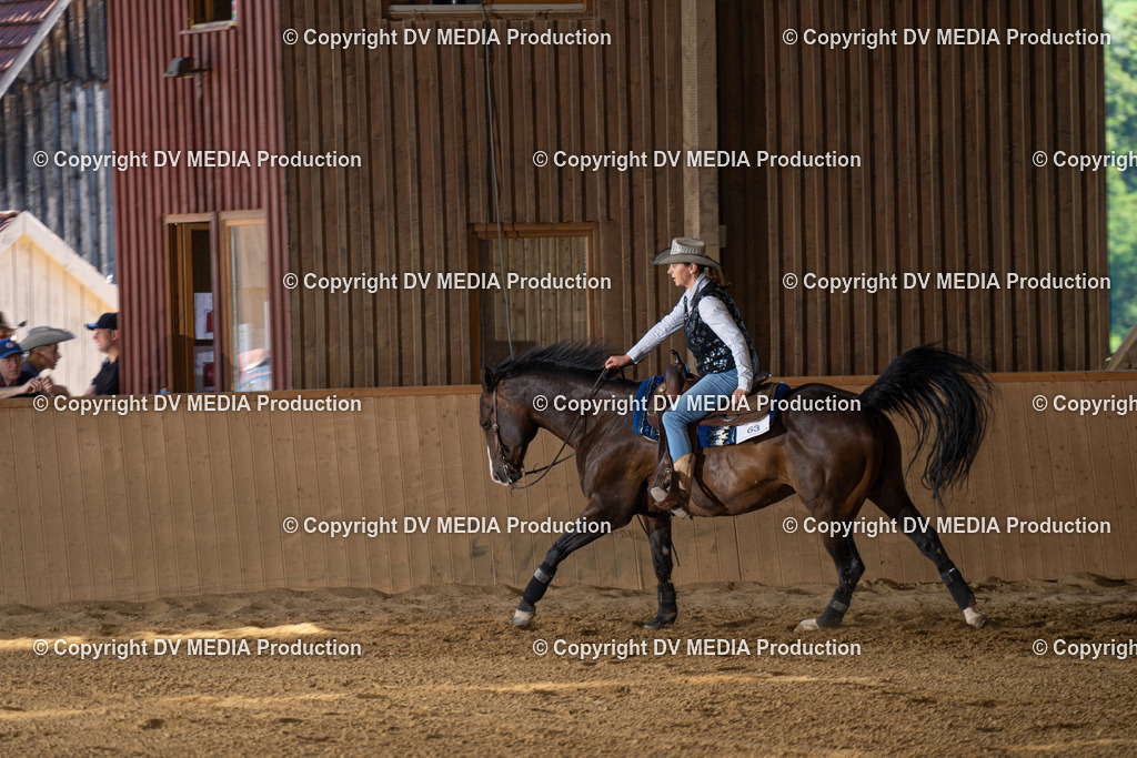 DSC00159 | dv-media-shop - Realisiert mit Pictrs.com