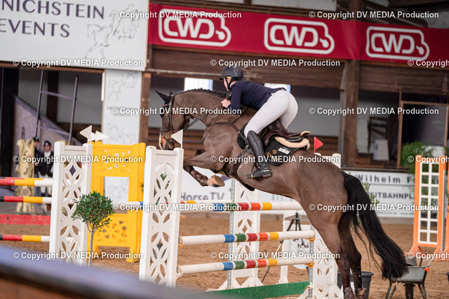 Kranichstein II Tag 3-507 | dv-media-shop - Realized with Pictrs.com