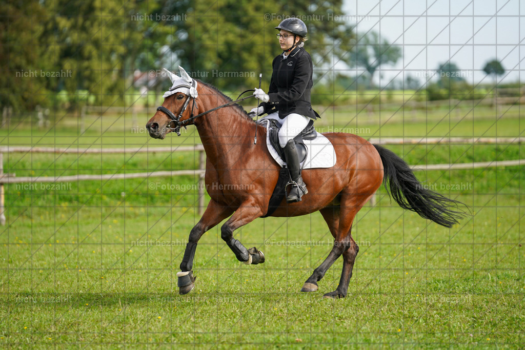 20230917-FAH09140 | Landsberg am Lech, 2023, Kaufbeuren, Kempten, Allgäu, Turnierfotografen Bayern, Fotoagentur Herrmann, Turnierbilder, Reitsport Fotos, Pferdefotograf, Augsburg, Bad Tölz, Dachau, Karlsfeld, Memmingen, Buchloe, Schwabmünchen