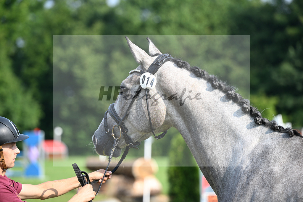Kat-Nr. 14 Gingers Viktoria v. Vingino_Zellner_27150284 | hf-fotografie - Realizzato con Pictrs.com
