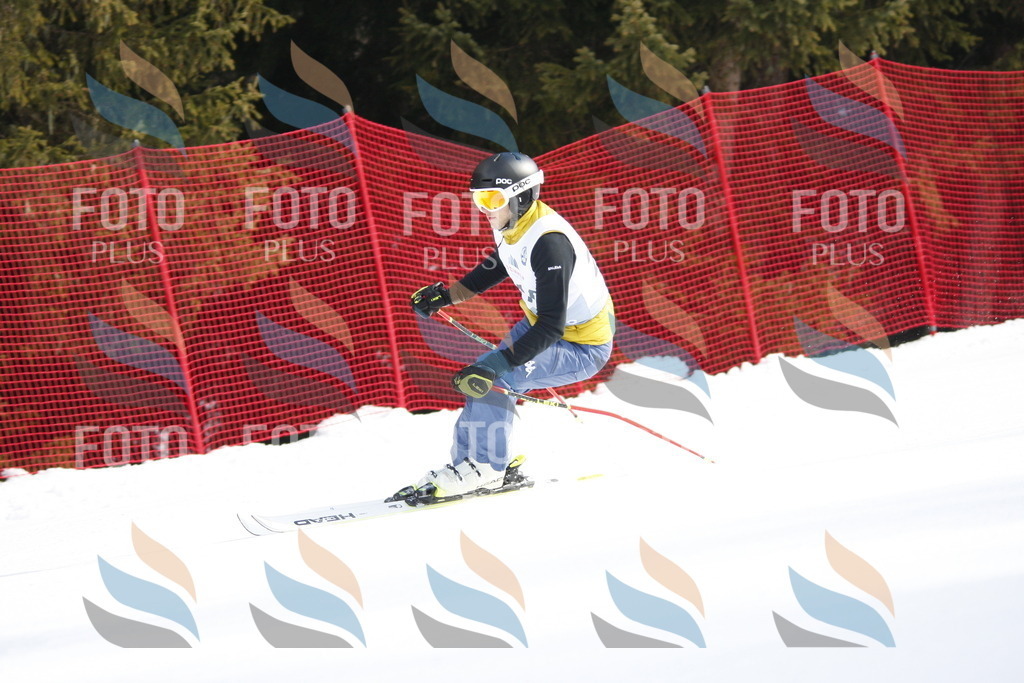 D8202 | holidayphoto