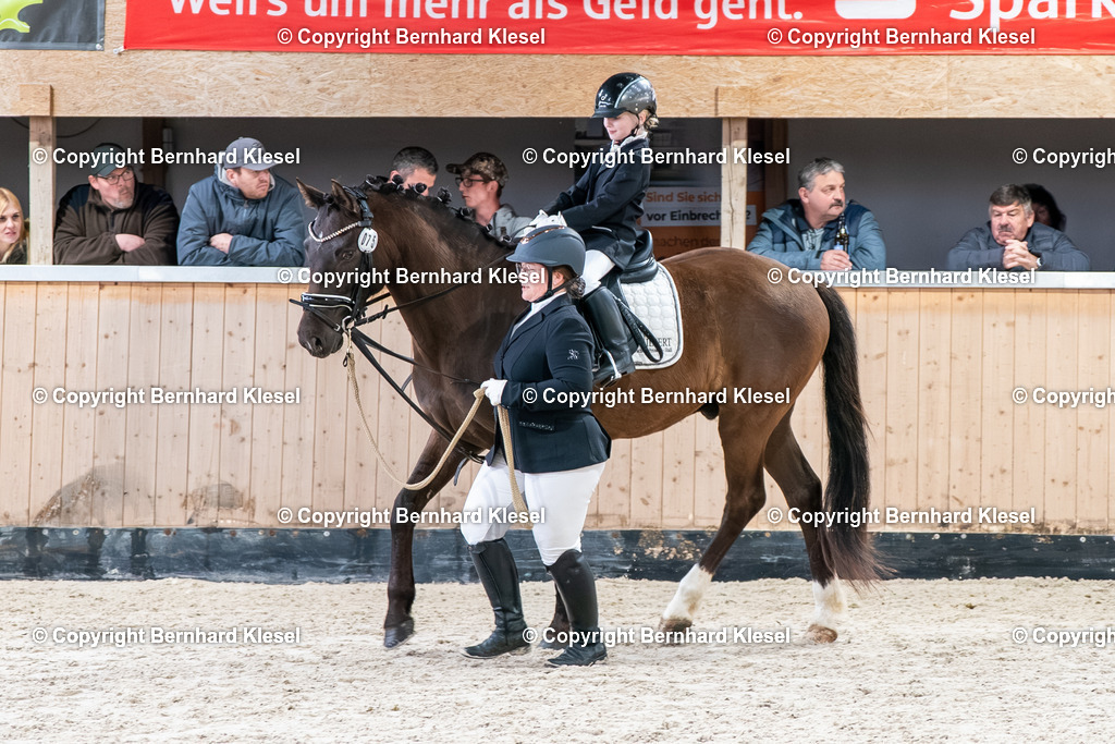 2A902577 | foto-team-bernhard - Realisiert mit Pictrs.com