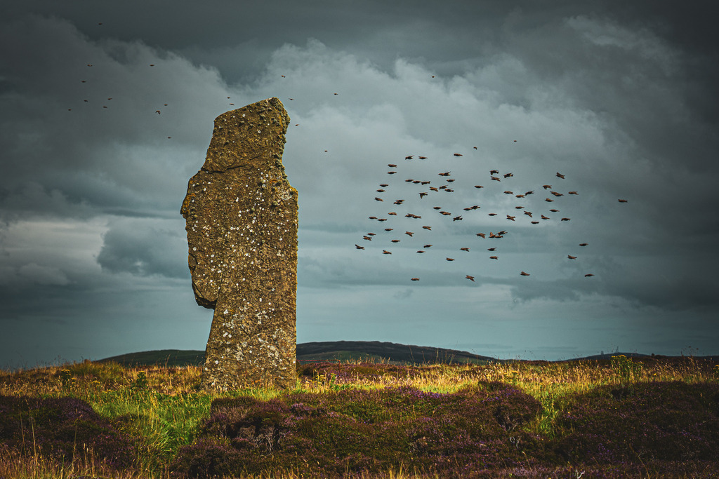 Ring of Brodgar | Natur in Bewegung: Die Vögel ziehen direkt neben einem Menhir des Ring of Brodgar entlang, der sich wie ein Wächter vor einem faszinierenden Himmelshintergrund abzeichnet. - Realisiert mit Pictrs.com