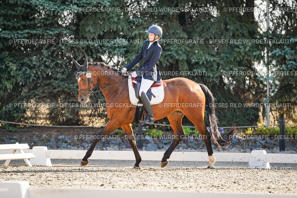 DSC09205 | Pferdegrafie