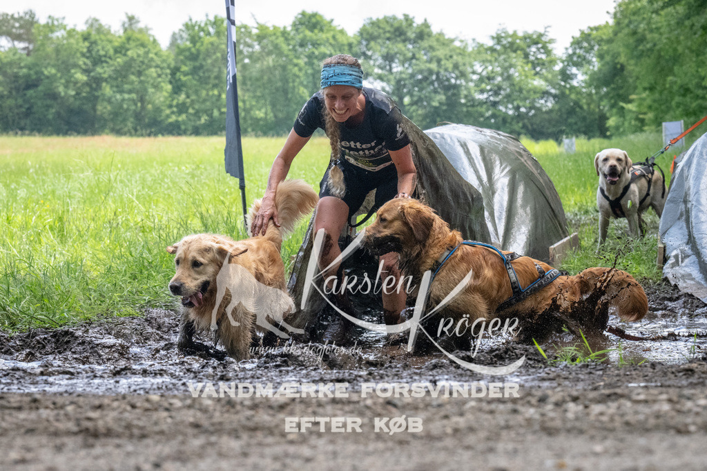 1145_ZZ94358 | kk-dogfotos