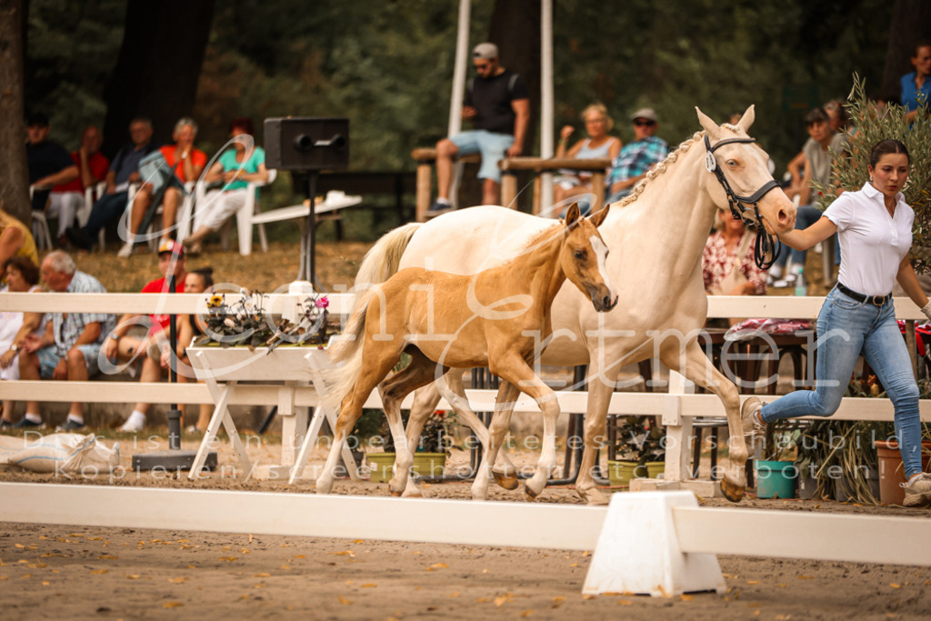 SaPA00243 | Leoni Ertmer Photography - Realisiert mit Pictrs.com