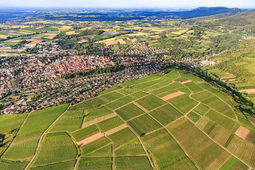 Aerial view: Sonnenberg vineyard on this side of the city in Wissembourg in the state Bas-Rhin, France. – Photo: IMG_120928.jpg taken on 06/26/2020 by Werner Riehm/FLY-FOTO.com – Resolution of the original: 5143 x 3429 px